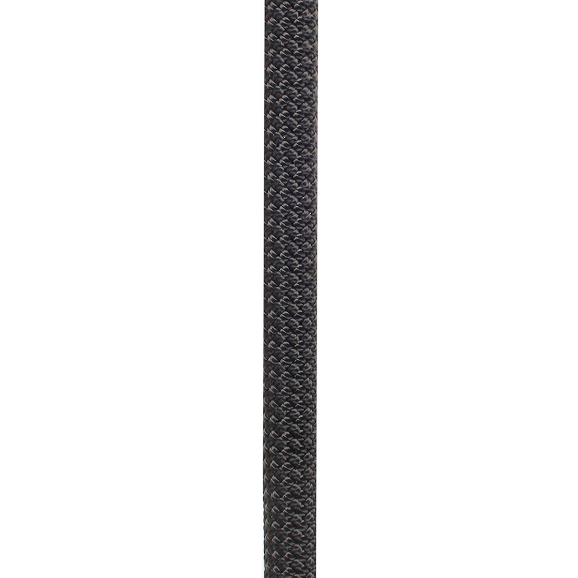 PROLINE 11MM